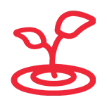 วัตถุประสงค์ของ